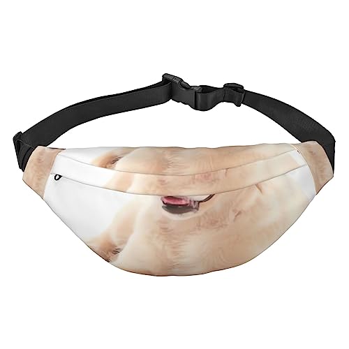 Puppy Fanny Pack for Women Men Waist Bag Adjustable Belt Casual Chest Bag Bum Bags for Travel Hiking Waist Packs, Schwarz , Einheitsgröße von QQLADY