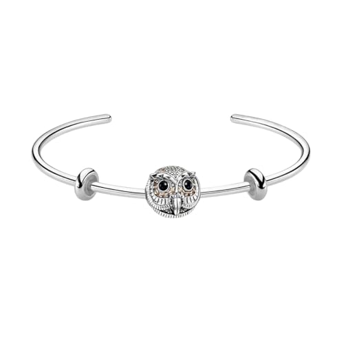 NEU 2025 Armband Armreifen Owl Perlen Fashion Karma Schmuck Vintage Geschenk für Frauen Männer, gut in 925 Sterling Silber Dekoration Schmuck Gedenk mit Ihnen Accessoires Trendy Best für Geschenk von QSYJCCXD