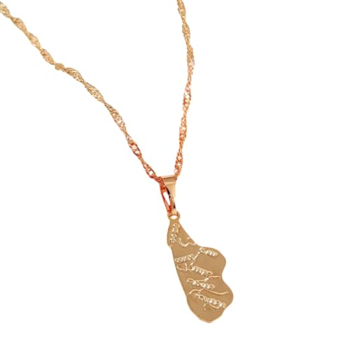 QSYJCCXD NEU 2026 UNISEX MADAGASCAR MAP HALLE Kette Anhänger für Frauen Gold Farbe Schmuck Afrika Malagasy Karten Dekoration Luxus mit Ihnen Accessoires Trendy Creative für Frauen und Männer von QSYJCCXD