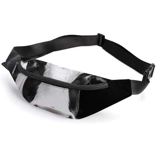Bauchtasche für Damen und Herren, Tier, lustiger Kuhkopf, Gürteltasche, Sport-Taillentasche mit verstellbarem Riemen, modische Hüfttasche für Reisen, Laufen, Workout, weiß, 36 x 15 cm, weiß, 14.2x5.9 Bauchtasche für Damen und Herren, Tier, lustiger Kuhkopf, Gürteltasche, Sport-Taillentasche mit verstellbarem Riemen, modische Hüfttasche für Reisen, Laufen, Workout, weiß, 36 x 15 cm, weiß, 14.2x5.9 von QWJKM