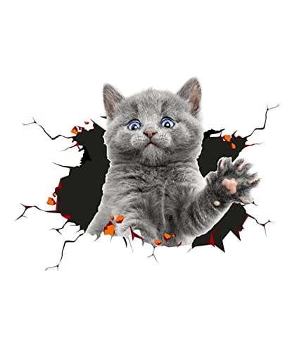 3D Katze Aufkleber Niedlich Dekorative Katze Aufkleber Katze Aufkleber Tier Thema Aufkleber Auto Benutzerdefinierte Dekorative Fenster Stoßstange Riss Auto Aufkleber Stil 2 von Qccige