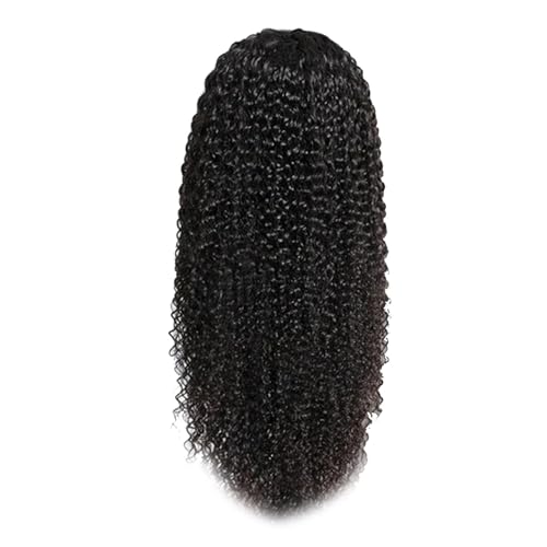 Lange Lockige Perücke, Hohe Temperatur -Seide Künstliche Lockige Perücke Handgewebte Teilweise Haaranlage 24 Zoll Langes Wellenwellige Perückenwellen und Stilvolle Frauenperücke von Qcwwy