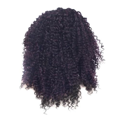 Qhpnunhq Lockige Perücke, 35,6 cm (14 Zoll), Lace-Front-Perücke, gewellt, hitzebeständige Synthetikperücke mit Mittelscheitel für Frauen von Qhpnunhq
