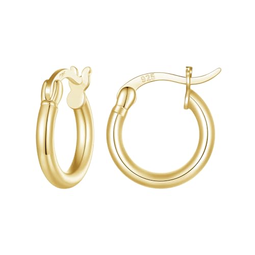 Qings 11mm Klein Vergoldet Creolen Ohrringe Silber 925 für Damen Minimalistische Leicht Dünne Runde Hoops Huggies Ohrringe für Frauen Mädchen von Qings