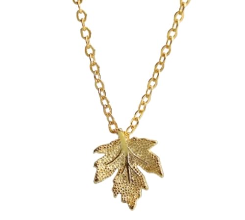 Qinshunxi Halsketten Sterling Gold Platted Halskette für Frauen S925 Sterling Silber Ahorn Blatt Zierzyker Delikate Halskette Geschenkschmuck für ihre Mädchen Paare von Qinshunxi