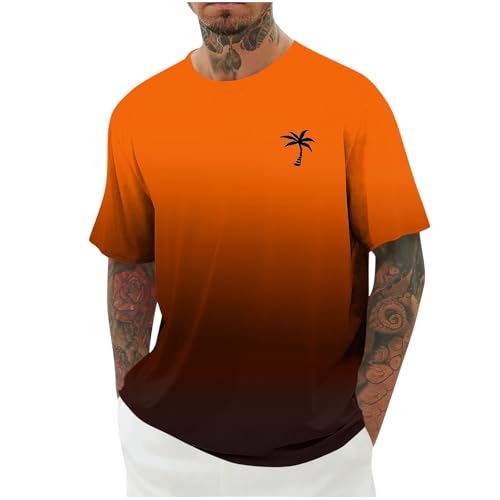 t Shirt, Gym Shirt Herren, Herren Tshirt, Tshirt, extra lang, männer Tshirts, Tshirt, extra lang, Oversize Tshirt männer, einfarbige Tshirts, Shirts, Summer Clothes Men, Fitnessbekleidung, Shirts t Shirt, Gym Shirt Herren, Herren Tshirt, Tshirt, extra lang, männer Tshirts, Tshirt, extra lang, Oversize Tshirt männer, einfarbige Tshirts, Shirts, Summer Clothes Men, Fitnessbekleidung, Shirts von Qixiu
