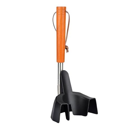 Qsvbeeqj Erweiterbares Langes Schuhhorn Für Ältere Schwangere Frauen Sicheres Antislip Design Home Office Travel Aid Tool Lifter Für Verschiedene Schuhe Typen von Qsvbeeqj