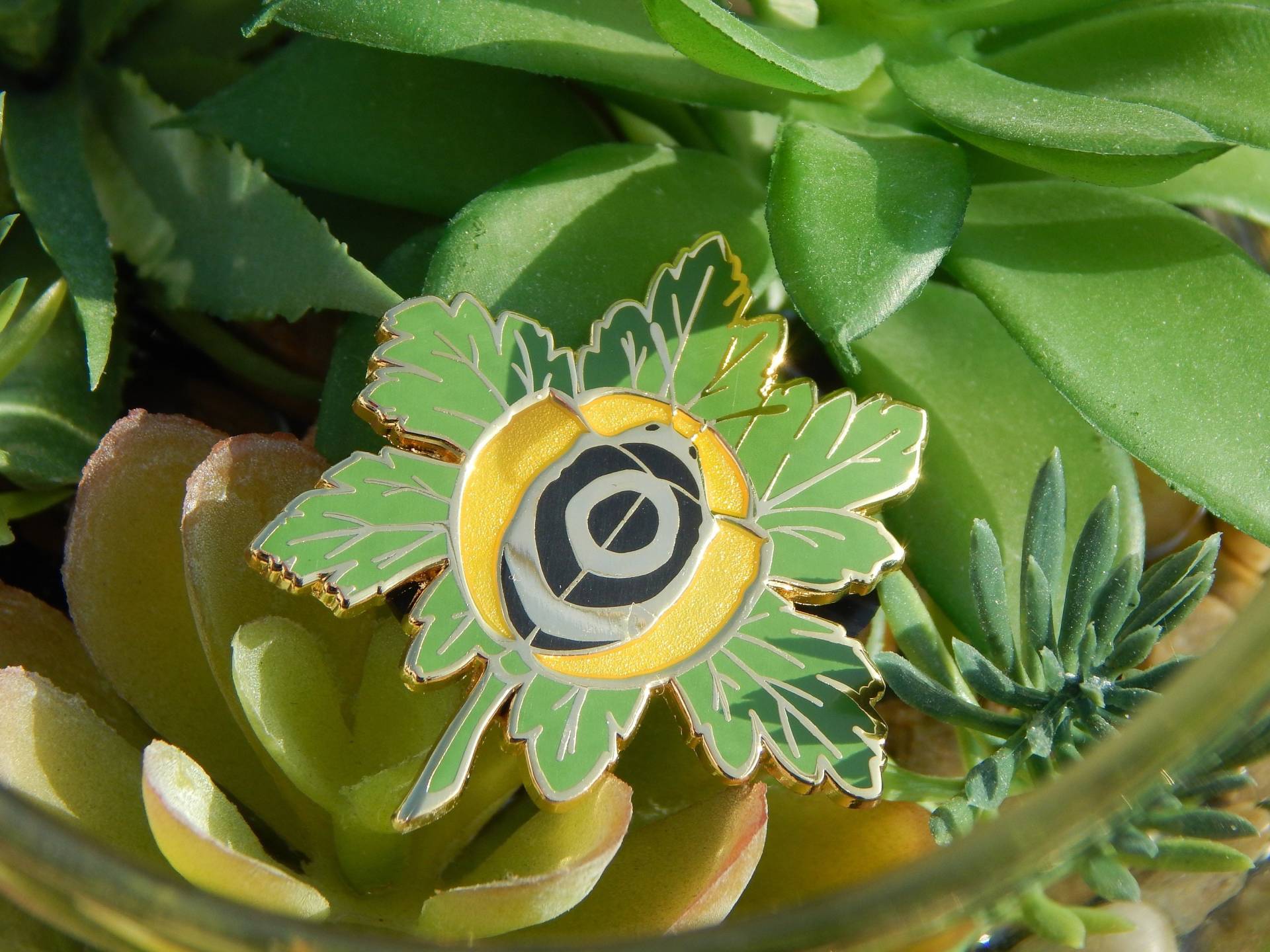 Goldener Schildkröten Käfer Emaille Pin Goldener Schildkröten Käfer Emaille Pin von QueenCheetahDesigns