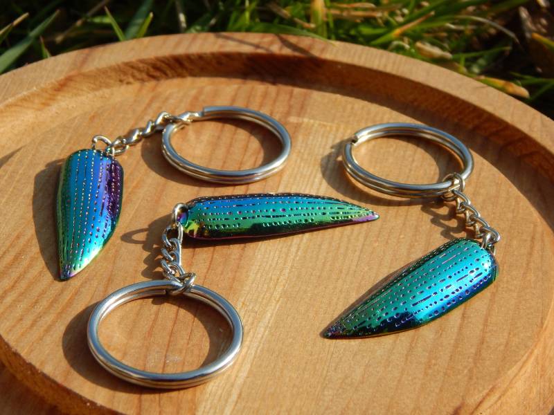Schmuck-Käfer-Flügel Eloxierte Metall Schlüsselanhänger Schmuck-Käfer-Flügel Eloxierte Metall Schlüsselanhänger von QueenCheetahDesigns