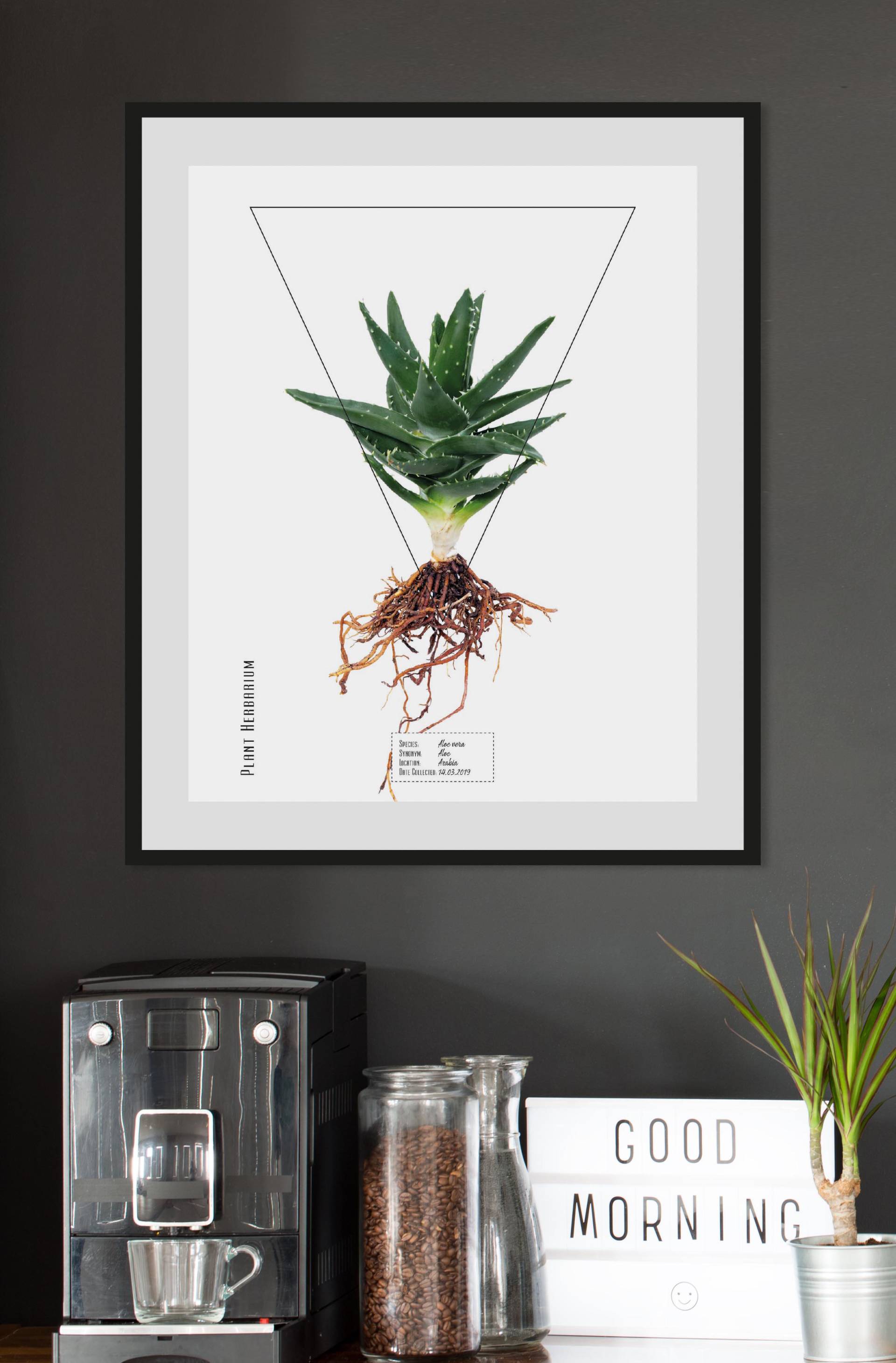 queence Bild "Aloe vera", (1 St.) von Queence