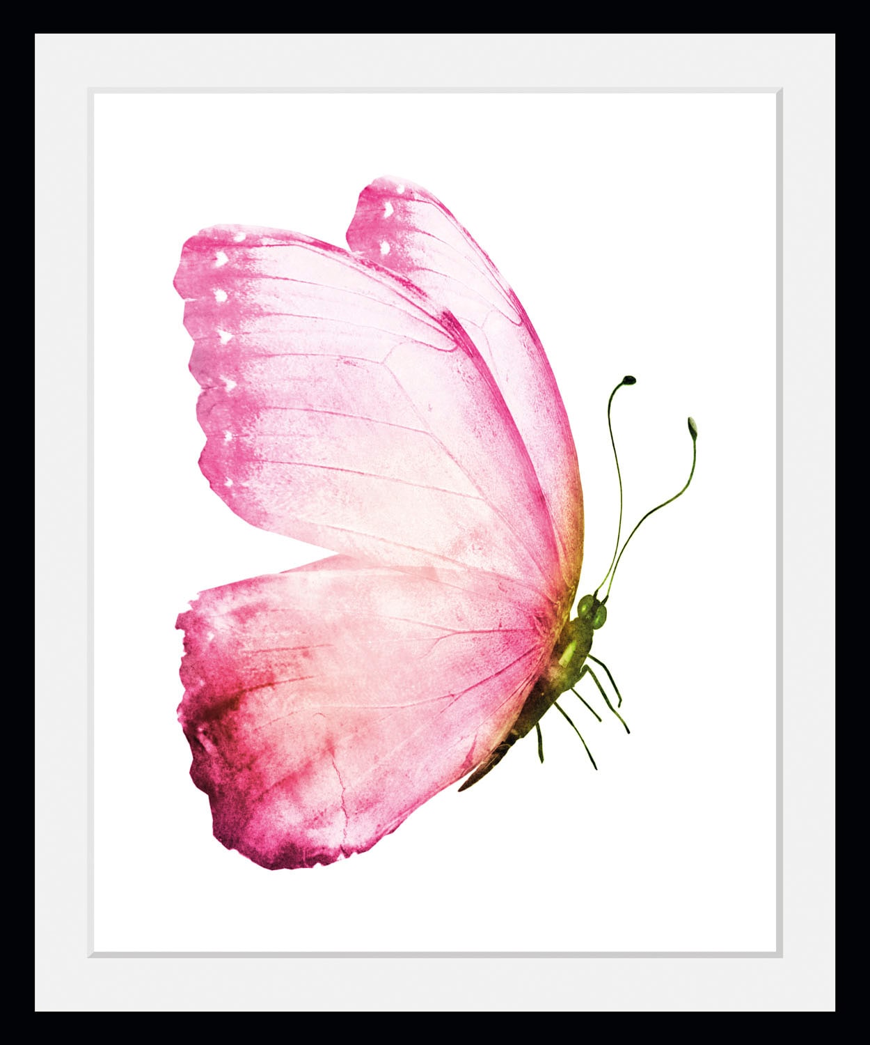 queence Bild "Apache", Schmetterlinge-Kunst-Insekten-Schwarz-Weiß, (1 St.), HD Premium Poster-Druck inkl. Holzrahmen von Queence