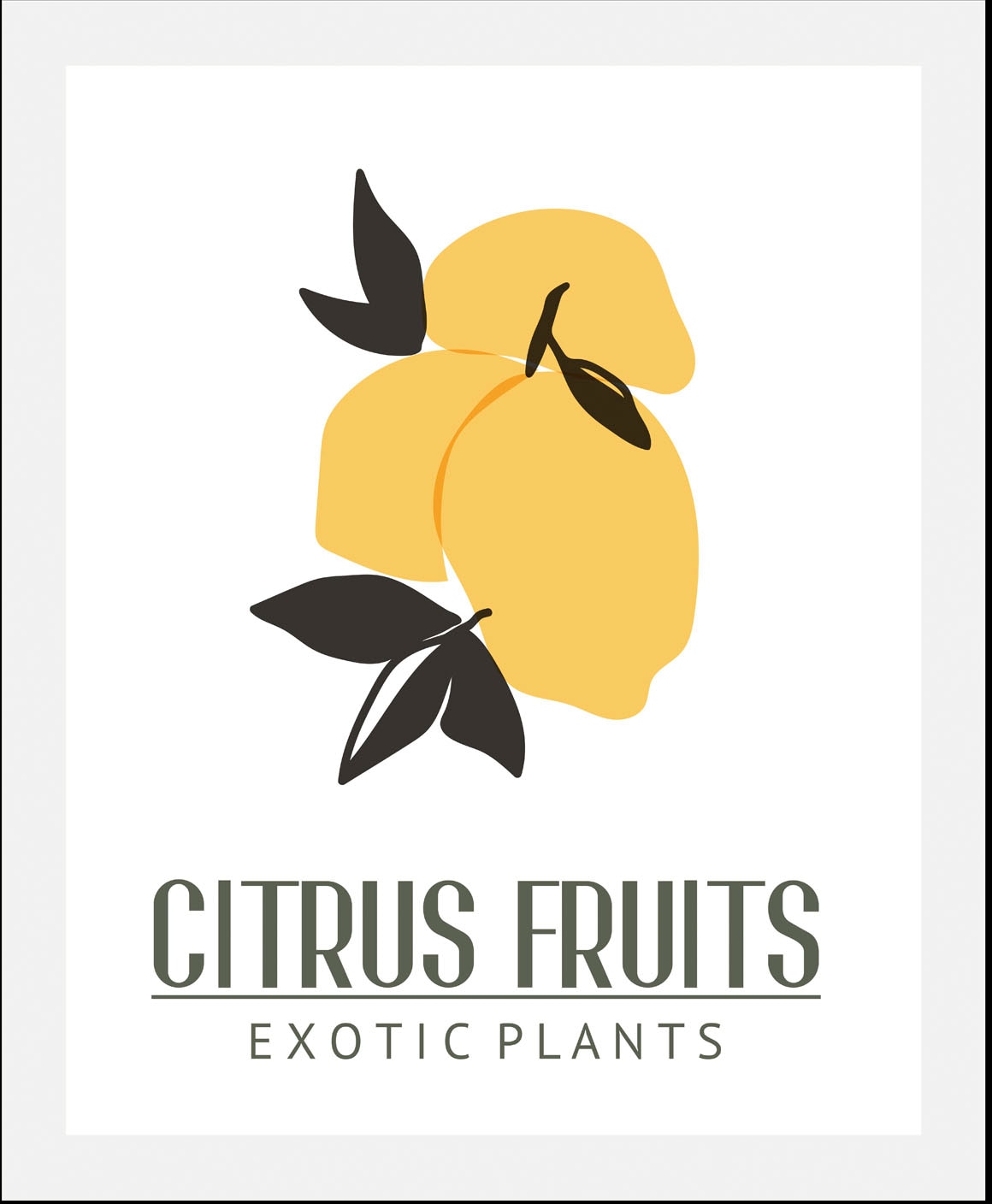 queence Bild "Citrus Fruits", Obst-Obst Bilder-Essen-Lebensmittel-Kunst-Schriftzug, (1 St.), gerahmt von Queence