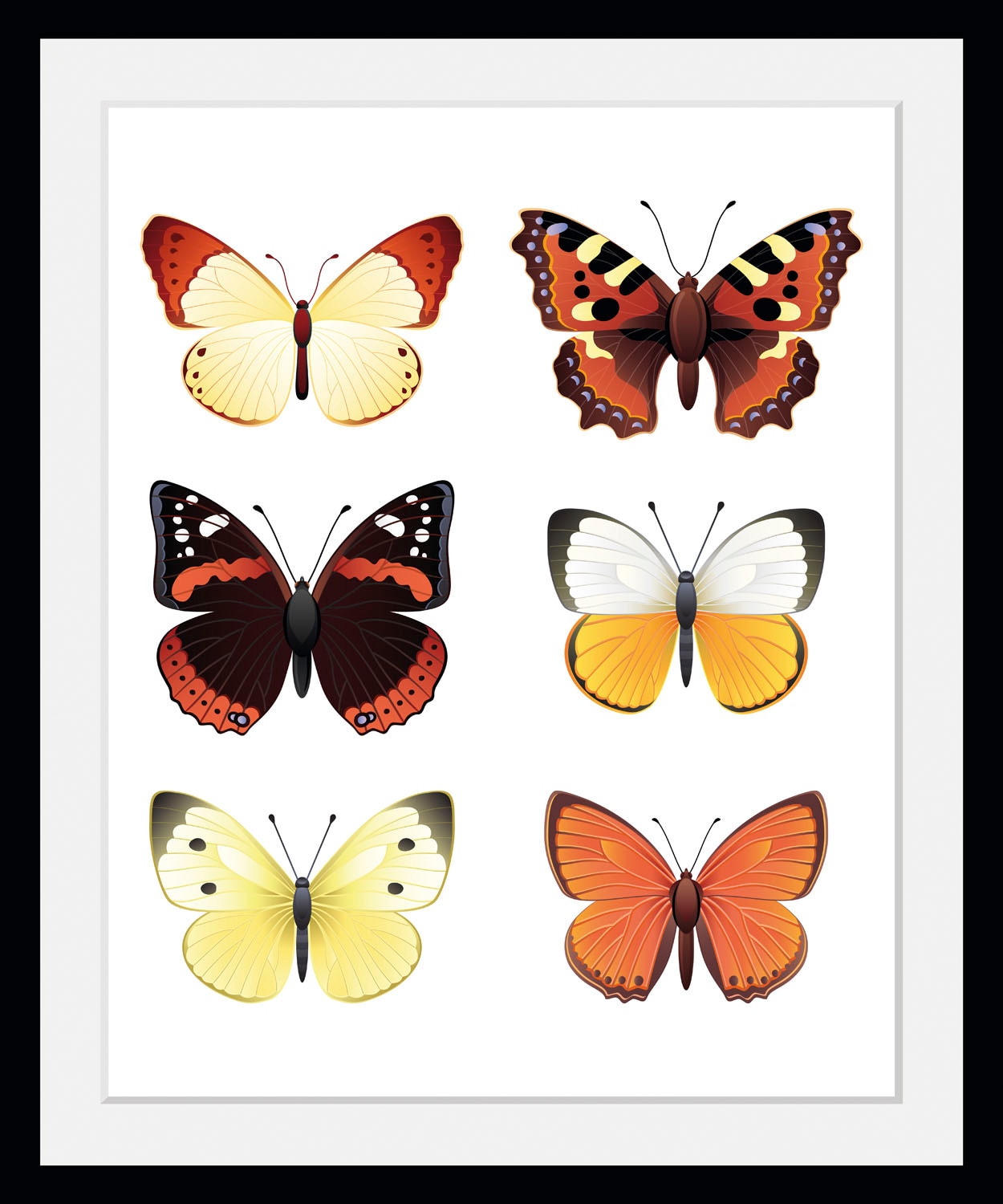queence Bild "Elina", Schmetterlinge-Kunst-Insekten-historische Ereignisse, (1 St.), HD Premium Poster-Druck inkl. Holzrahmen von Queence