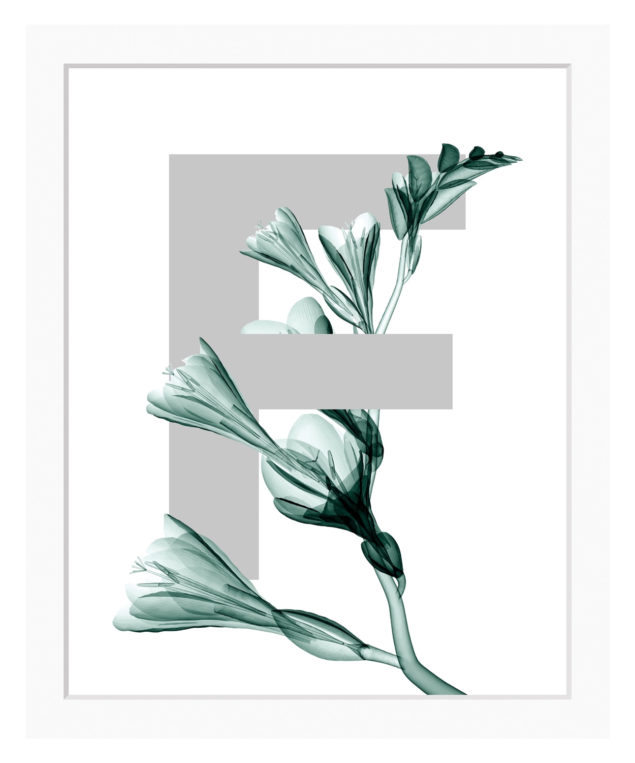 queence Bild "F-Flower", Buchstaben, gerahmt, Blume, Blätter von Queence