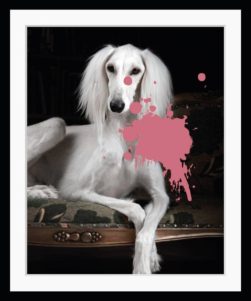 queence Bild "2.0", Hunde von Queence