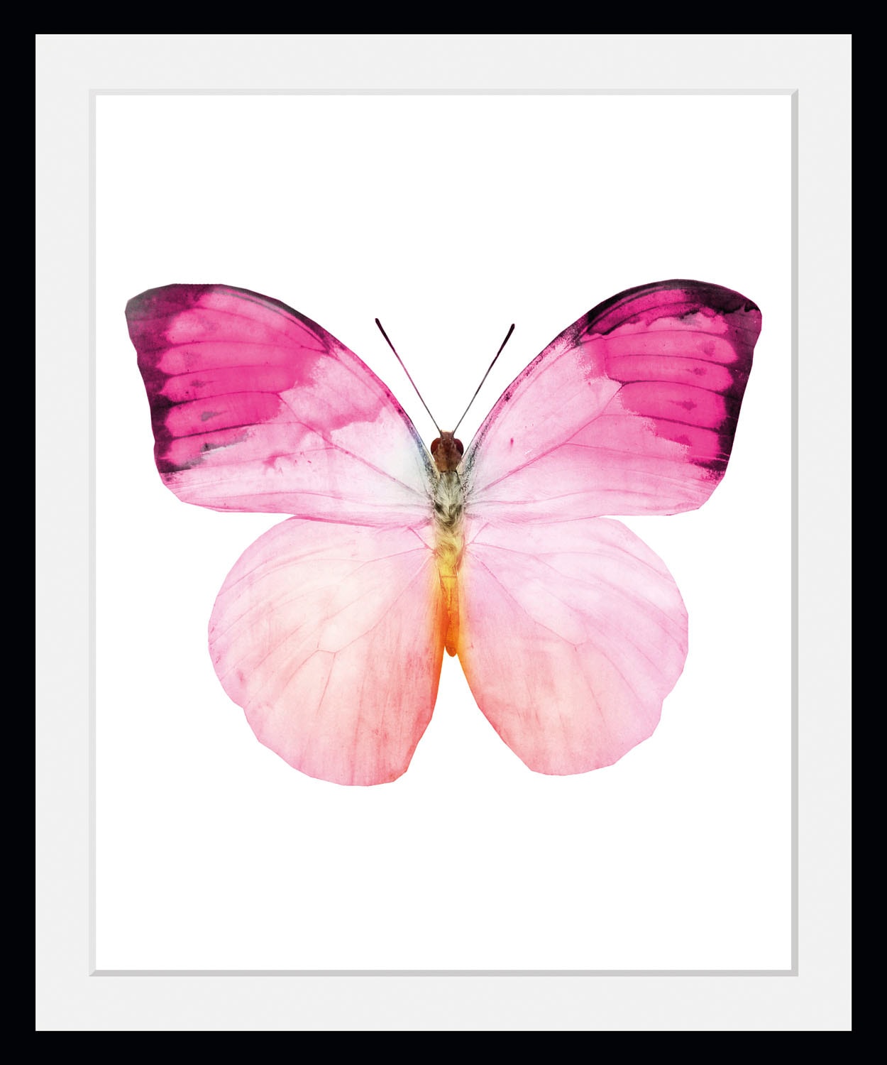queence Bild "Jody", Schmetterlinge, (1 St.) von Queence