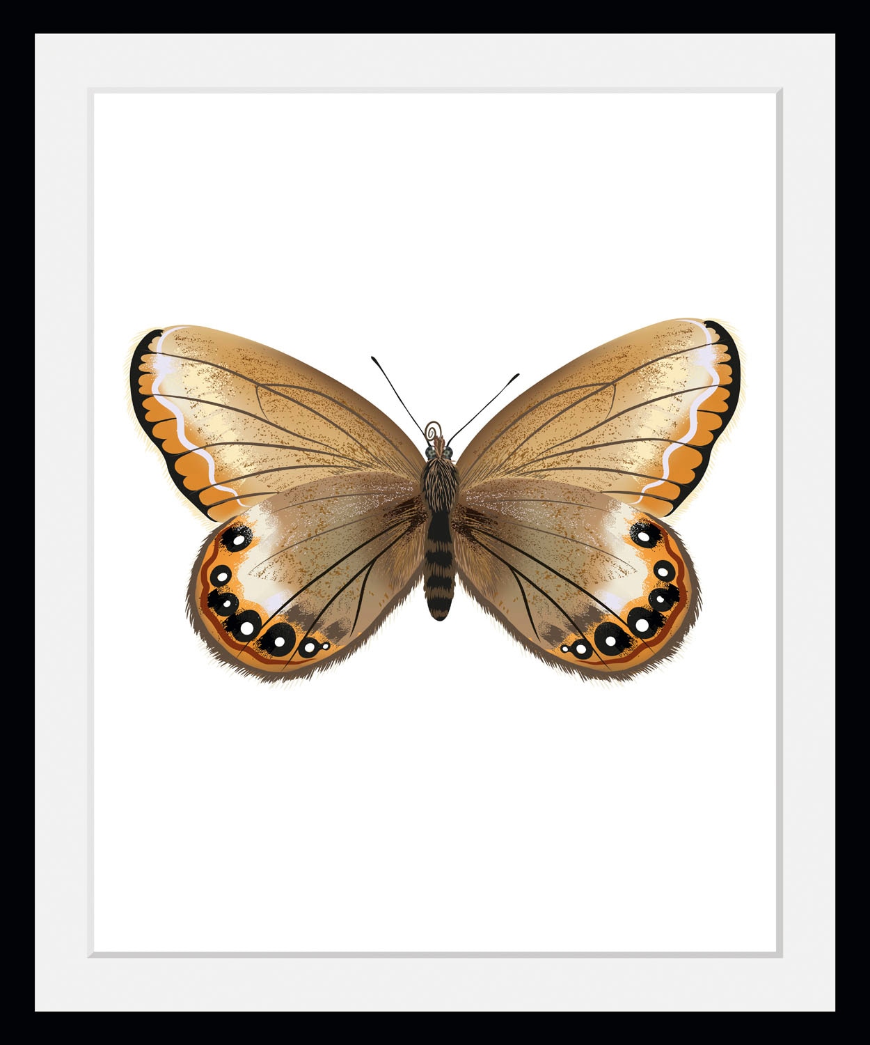 queence Bild "Lexy", Schmetterlinge-Kunst-Insekten, (1 St.), HD Premium Poster-Druck inkl. Holzrahmen von Queence