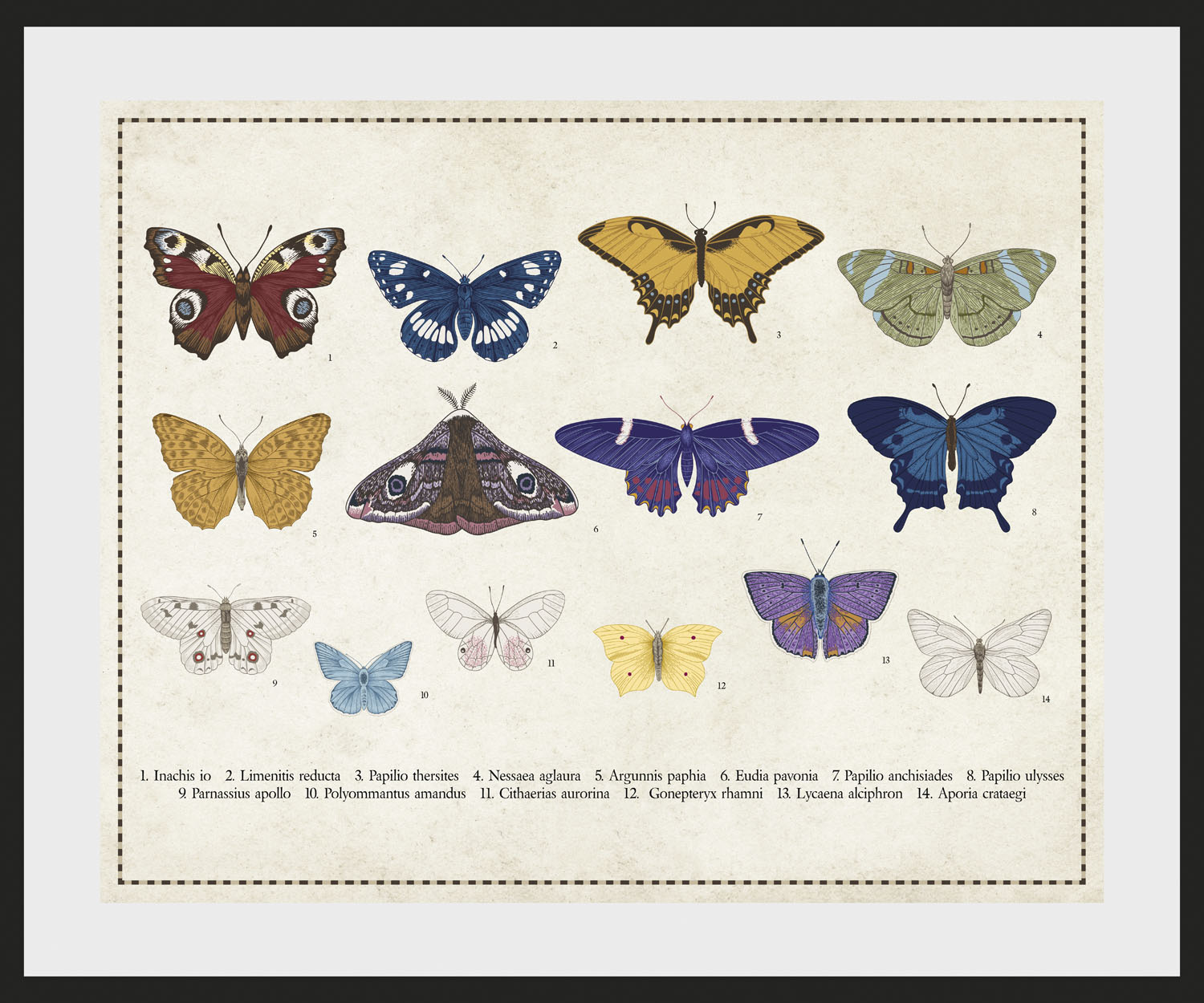 queence Bild "Liane", Schmetterlinge, (1 St.) von Queence