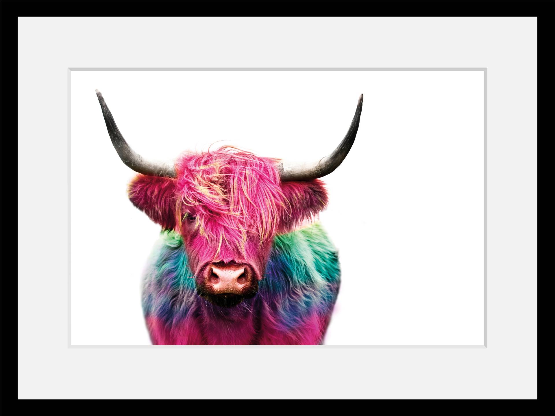 queence Bild "Yak", Kuh-Kuhbilder-Kunst-Foto, HD Premium Poster-Druck inkl. Holzrahmen von Queence