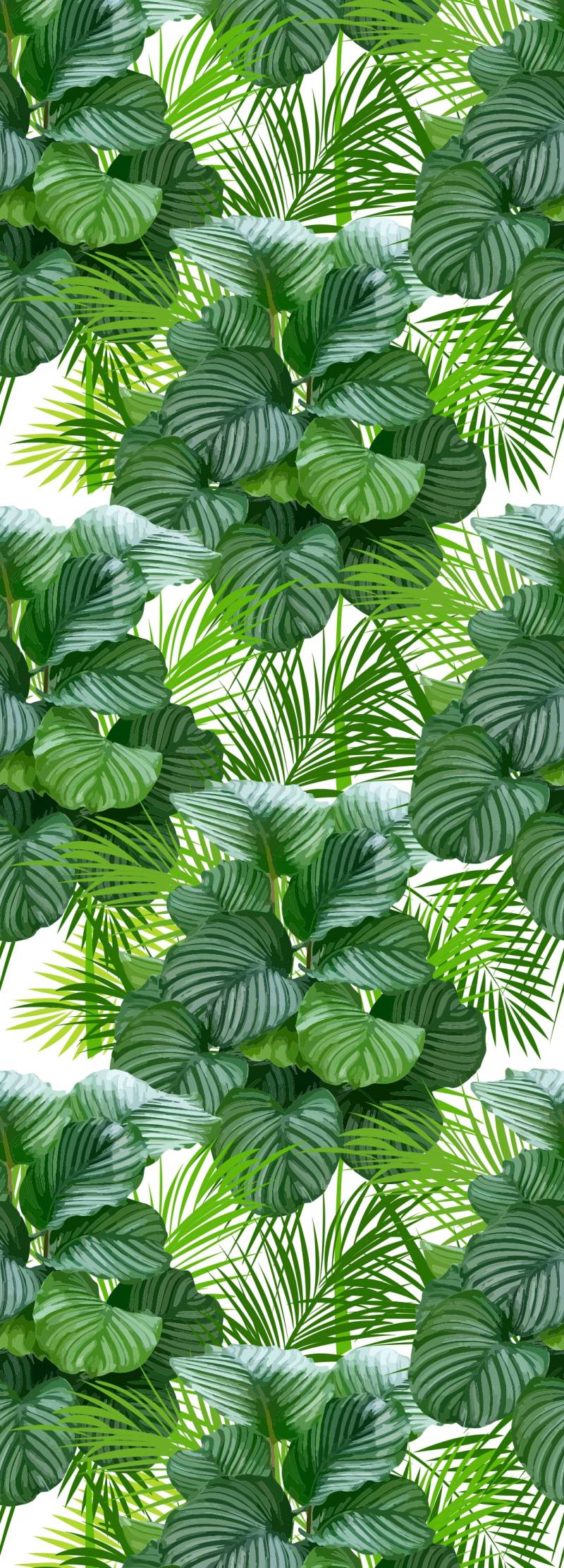 queence Vinyltapete "Tropische Blätter-Grün" Motiv  bedruckt  botanisch  floral  gemustert  natürlich glatt 90x250cm, selbstklebend, kinderleichte Anbringung, Sticker von Queence