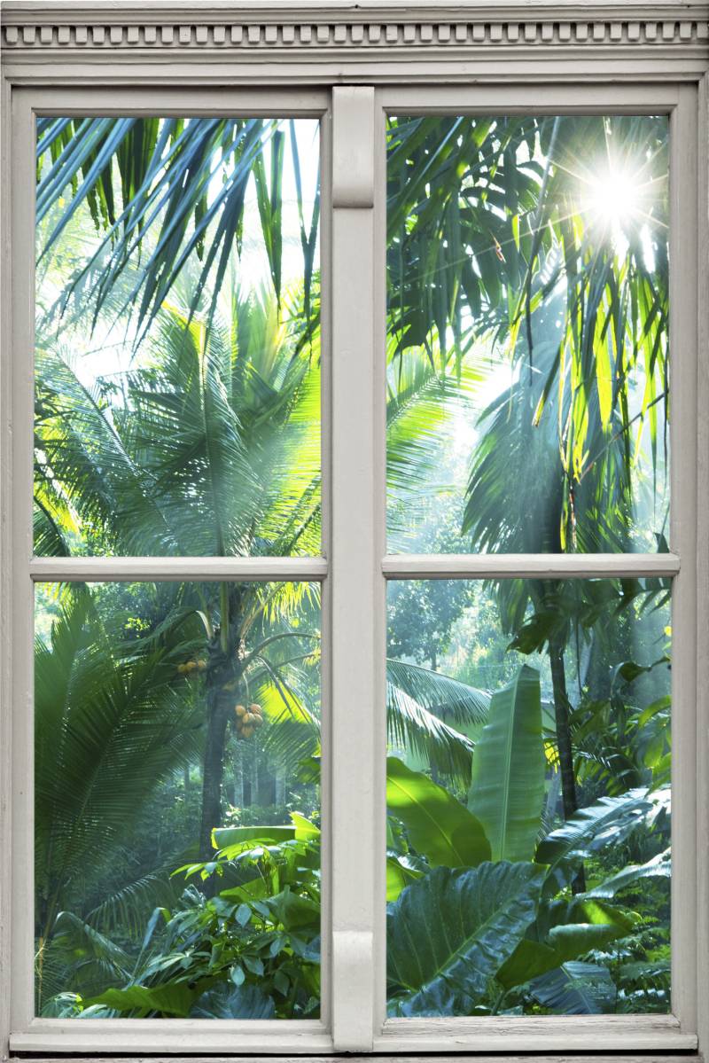 queence Wandsticker "Regenwald" Wandsticker, Wandbild, selbstklebend, 3D, Fenster von Queence