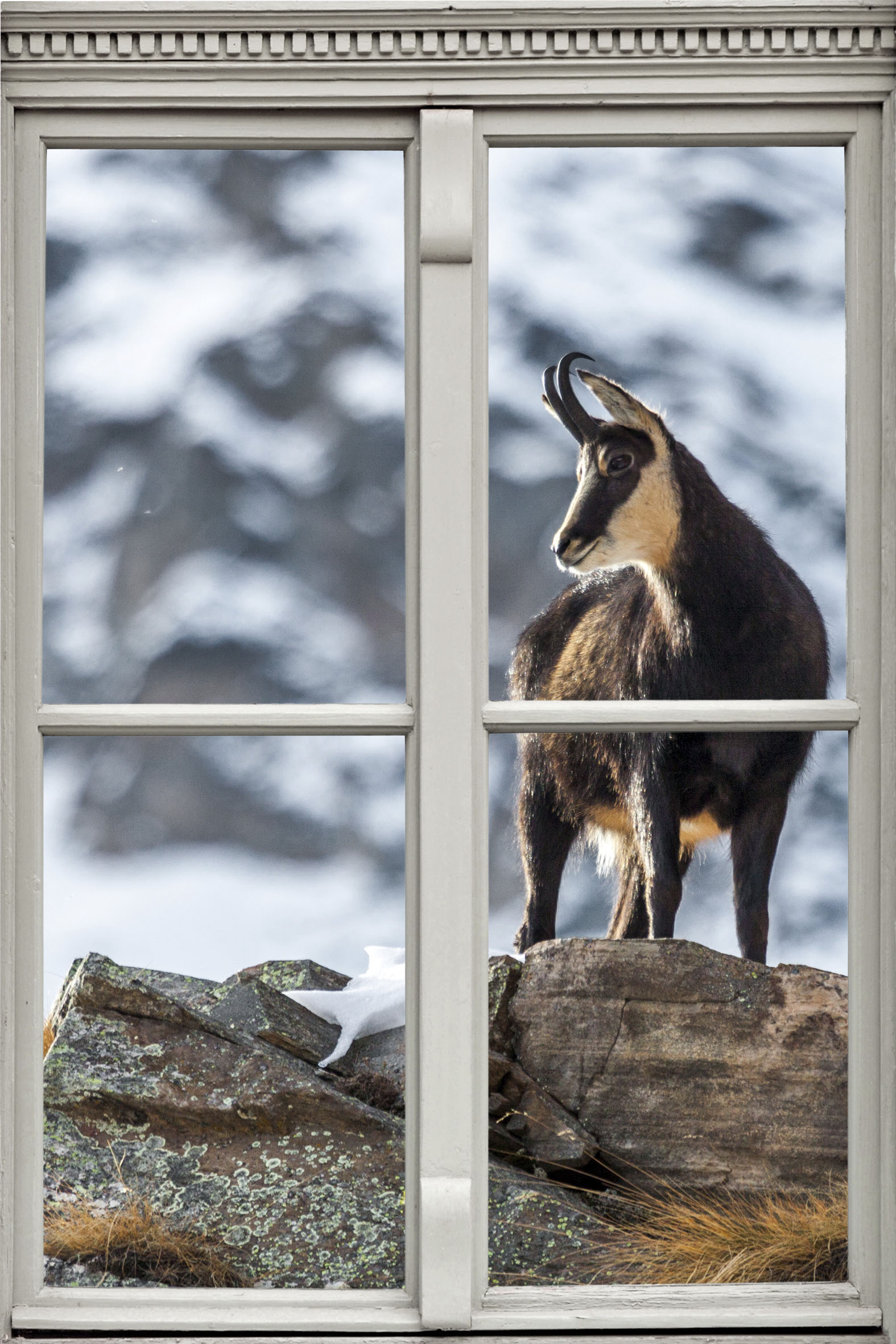 queence Wandsticker "Steinbock" Wandsticker, Wandbild, selbstklebend, 3D, Fenster von Queence