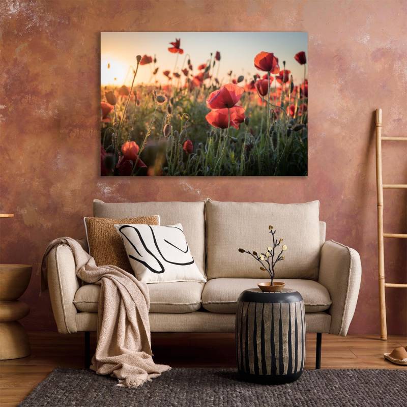 queence XXL-Wandbild "Akustikbild Mohn Mohnfeld bei Sonnenaufgang" Bilder vom Sonnenuntergang & -aufgang  Blumen  Blumenbilder  Blumenwiese  Felder  Natur  Pflanzen  Pflanzenbilder von Queence