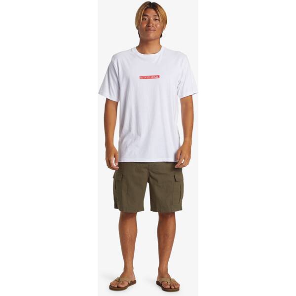 QUIKSILVER Herren Bermuda TAXER CARGO WKST von Quiksilver