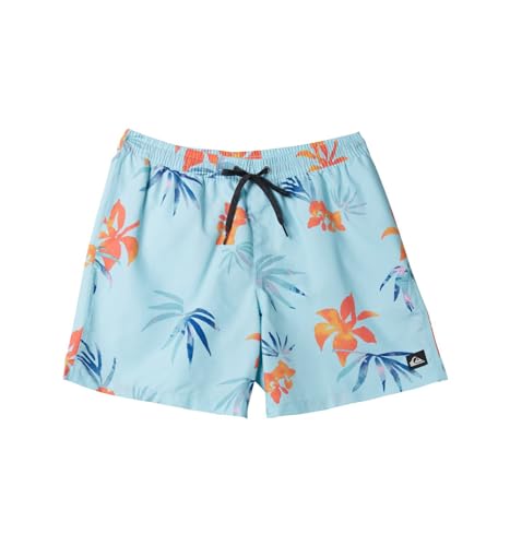 Quiksilver Herren Everyday Mix 17 Volley Badehose Boardshorts, Limpet Shell 241, S von Quiksilver