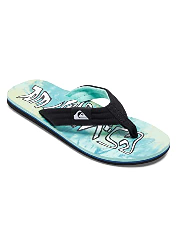 Quiksilver Molokai Layback - Sandalen für Männer von Quiksilver