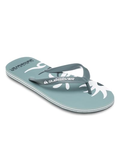 Quiksilver Herren Molokai Screen Sandale, SAGE, 43 EU von Quiksilver