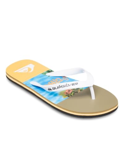 Quiksilver Herren Molokai Stripe 25 Sandale, Coronet Blue, 44 EU von Quiksilver