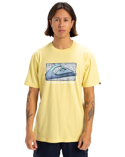 Quiksilver Herren Retro Fade Ss T-Shirt, Popcorn, L von Quiksilver