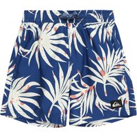 Sportbadeshorts 'EVERYDAY' von Quiksilver