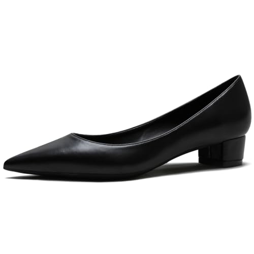 Qynthra Damen Pumps Spitz Niedriger Blockabsatz Matt Für Büro Arbeit Alltag Spaziergänge Freizeitlook,Schwarz,36 EU von Qynthra