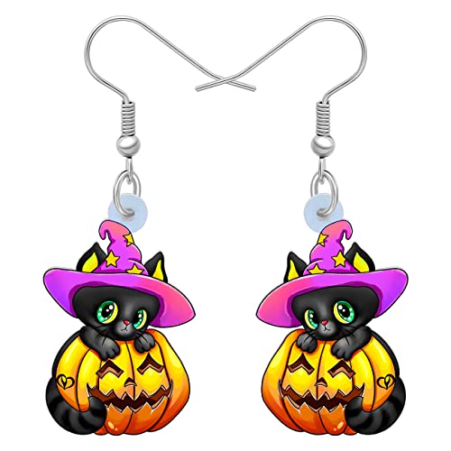 RAIDIN Acryl Halloween Ohrringe Charms schwarze Katze mit Kürbis Fisch Haken baumeln Tropfen Ohrringe Tiere Schmuck für Frauen Mädchen Party Festival Geschenke Dekorationen (Rosa) von RAIDIN