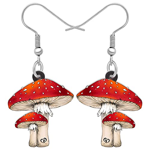 RAIDIN Acryl niedlich kreative Pilz baumeln Tropfen Ohrringe für Damen Mädchen Pilz hypoallergen Haken Ohrringe Schmuck für Geschenke Party Charms (Rot) von RAIDIN