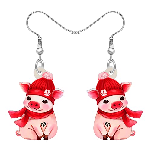 RAIDIN Acryl niedliche Tier Schwein Baumeln Ohrringe für Damen Mädchen Hypoallergene Tropfen Ohrringe Schwein Schmuck für Geschenke Geburtstag Party Dekorationen (Magenta) von RAIDIN