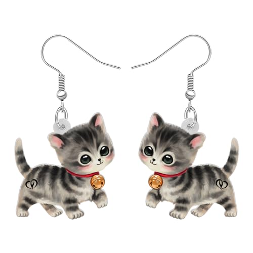 RAIDIN Acryl süße Cartoon Katze Haustiere Ohrringe für Damen Mädchen Anime Kätzchen baumeln Haken Ohrringe Schmuck Geschenke für Katzenliebhaber (Eisen) von RAIDIN