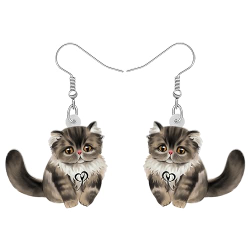 RAIDIN Acryl süße Cartoon Katze Haustiere Ohrringe für Damen Mädchen Anime Kätzchen baumeln Haken Ohrringe Schmuck Geschenke für Katzenliebhaber (Grau) von RAIDIN