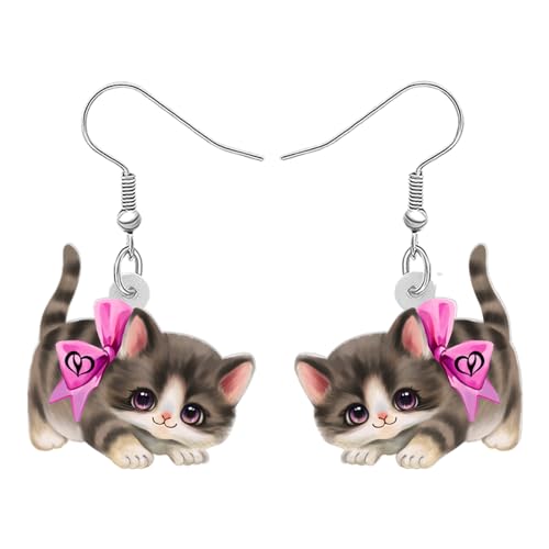 RAIDIN Acryl süße Cartoon Katze Haustiere Ohrringe für Damen Mädchen Anime Kätzchen baumeln Haken Ohrringe Schmuck Geschenke für Katzenliebhaber (Rosa) von RAIDIN