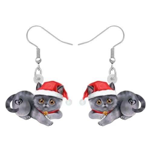 RAIDIN Acryl süße Weihnachten Katze Haustiere Ohrringe für Damen Mädchen Anime Kätzchen baumeln Haken Ohrringe Schmuck Geschenke für Katzenliebhaber (Silber) von RAIDIN