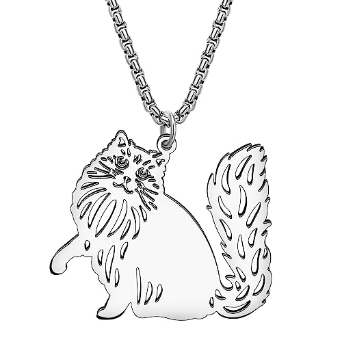 RAIDIN Edelstahl Tier Katze Halskette Anhänger für Damen Mädchen 18K Gold Silber plattiert Süße Kätzchen Halsketten Schmuck Geschenke für Katzenliebhaber Charms (Silber-176 Ragdoll) von RAIDIN