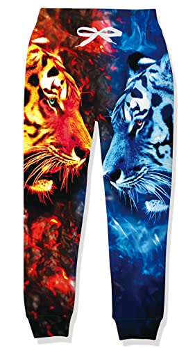 RAISEVERN Jogginghose Tiger Jungen Coole 3D Druck Hose Lustige Kinder Hosen Mädchen Blau Rot Sporthose Jugendliche Party Geschenk Hip Hop Bekleidung, 10-11 Jahre, 150 von RAISEVERN