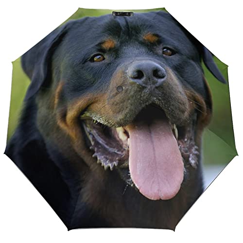 RBAZYFXUJ Faltbarer Regenschirm, Rottweiler-Regenschirm, Reise-Regenschirm, automatisches Öffnen und Schließen für wind- und regenfest, Stil:, Einheitsgröße von RBAZYFXUJ