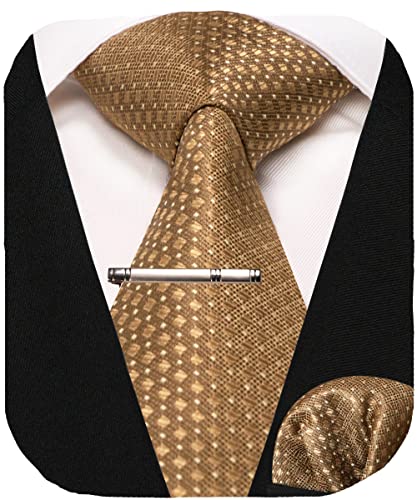 RBOCOTT Herren Gold Krawatte Hochzeit Seidenkrawatte und Einstecktuch mit Krawattenklammer Sets für Männer(263) von RBOCOTT