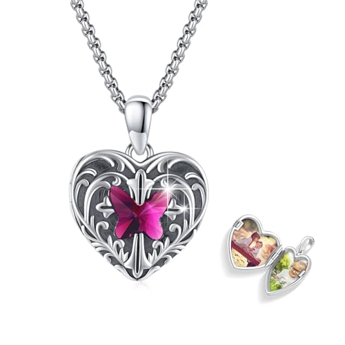 REDSUN Herz Kette 925 Sterling Silber Schmetterling Kette Kristall Herz Urnenkette für AshesAmulett Anhänger Geschenke für Freundin Frau Mutter 2 von REDSUN