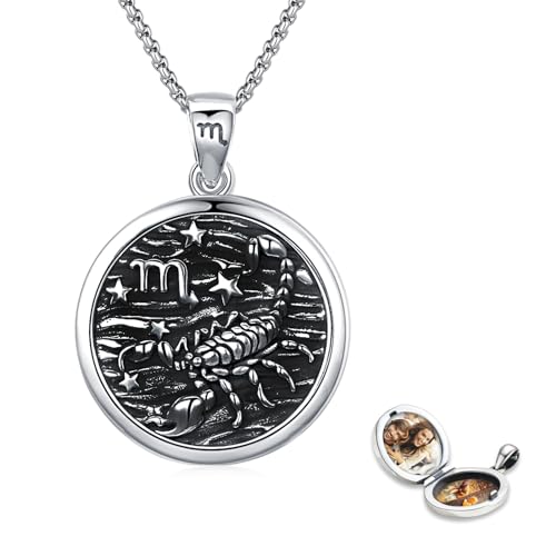 REDSUN Skorpion Halskette 925 Sterling Silber Medaillon-Halskette Sternzeichen-Anhänger-Halsketten für Frauen Horoskop-Schmuck Geburtstagsgeschenk für Sie, Frauen, Teenager, Mädchen von REDSUN