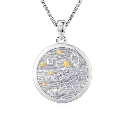 REDSUN Skorpion Halskette 925 Sterling Silber Sternzeichen Kette Sternzeichen-Anhänger-Halsketten für Frauen Horoskop-Schmuck Geburtstagsgeschenk für Sie, Frauen, Teenager, Mädchen（Silber） von REDSUN