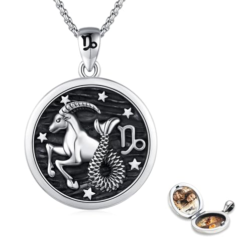 REDSUN Sternzeichen Halskette 925 Sterling Silber Medaillon-Halskette Sternzeichen STEINBOCK Kette Astrologie Horoskop Anhänger Sternzeichen Halskette Für Männer Frauen von REDSUN